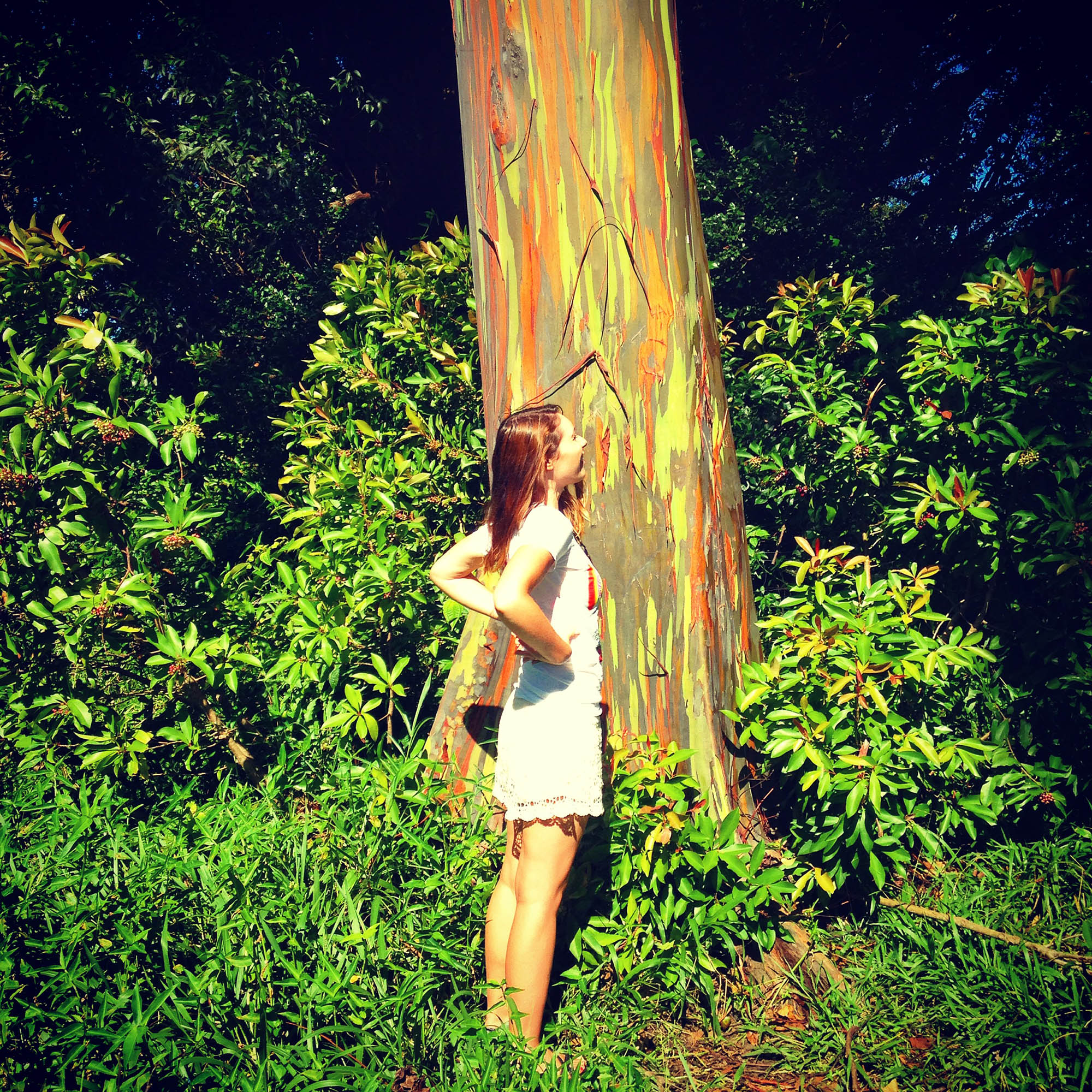 Marie stands in front of a rainbow eucalyptus tree